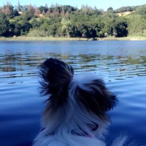 Meet your Posher, Karina